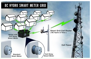 BC Hydro Smart Meter Grid