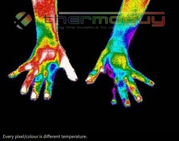 Every pixel/colour is different temperature.