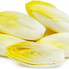 Belgian endive