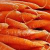 carrots