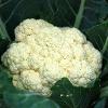 cauliflower