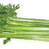 celery