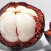 mangosteen