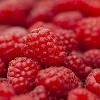 raspberries