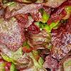 red leaf lettuce