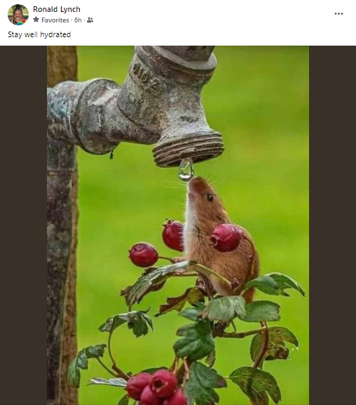 Doctor Ronald Lynch: 'Stay well hydrated'