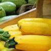 summer squash