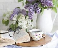 teacup with book